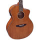 Faith Guitars Mahogany Series