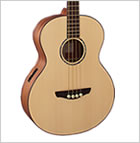 Faith Guitars New Titan Acoustic bass