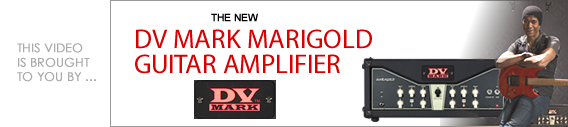 NEW DV Mark Marigold Guitar Amp