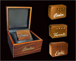 Carlos CP-1 High End Acoustic Pickup